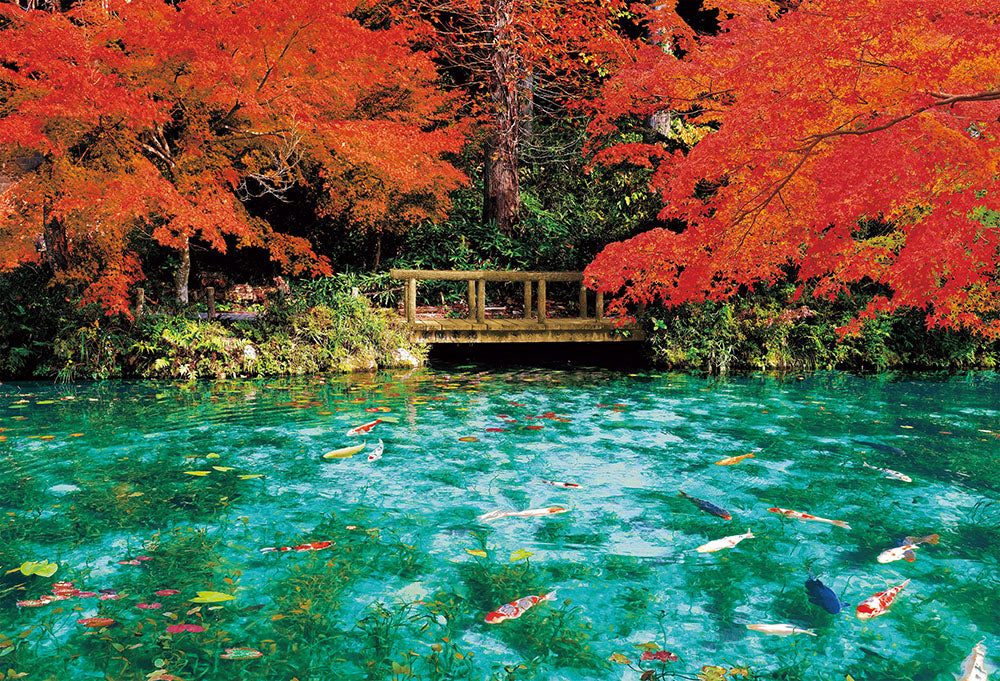 秋色に彩るモネの池