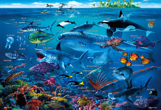 海の生物おぼえちゃおう!