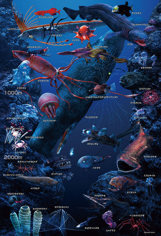 深海の生物おぼえちゃおう!