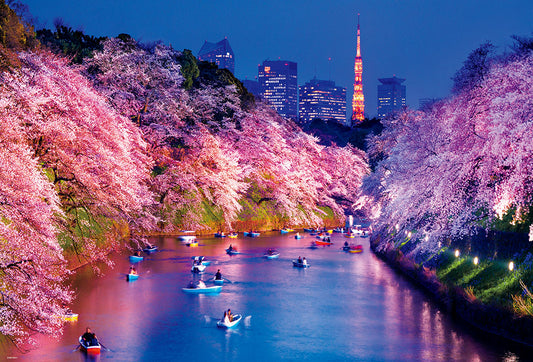 千鳥ヶ淵の夜桜